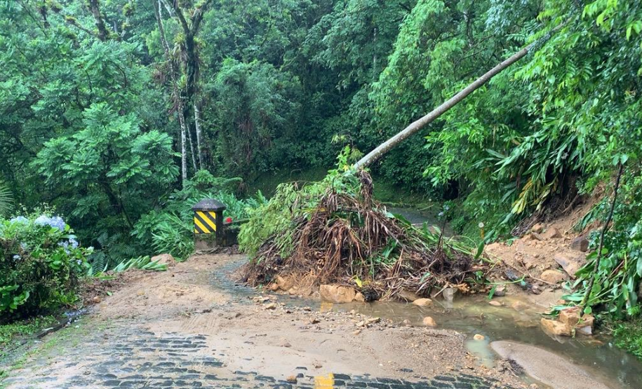 Escorregamentos de terra na Estrada da Graciosa