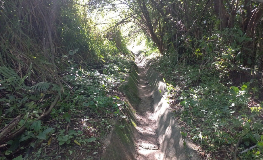 PR-444 Limpeza de sarjeta e capina manual