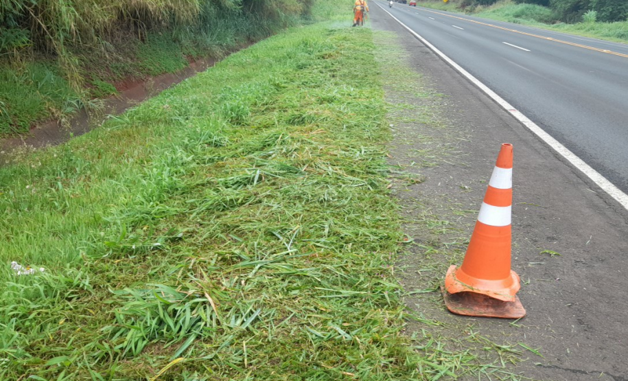 PR-444 Roçada manual