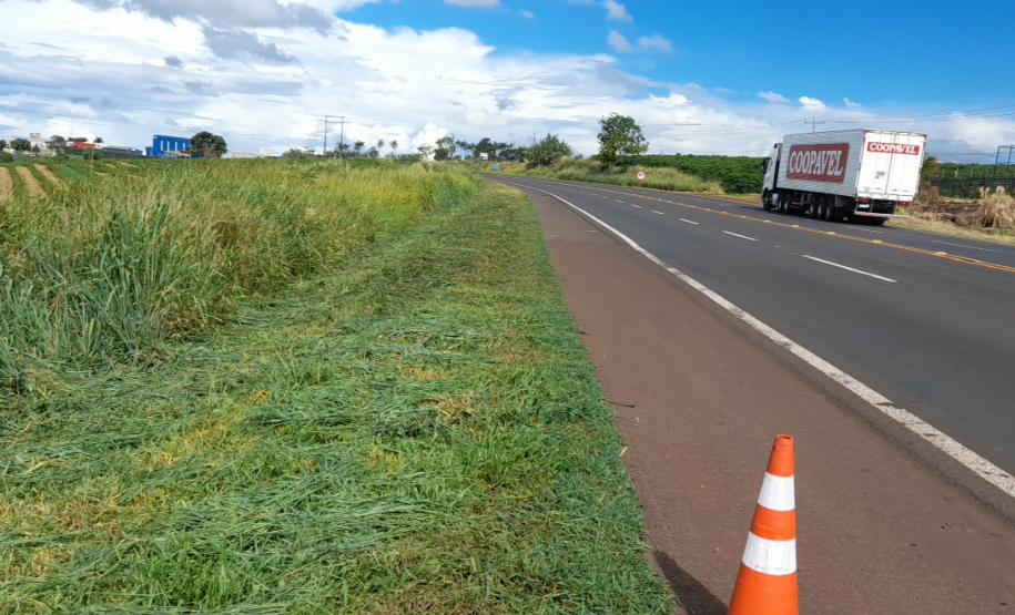 PR-444 Roçada manual