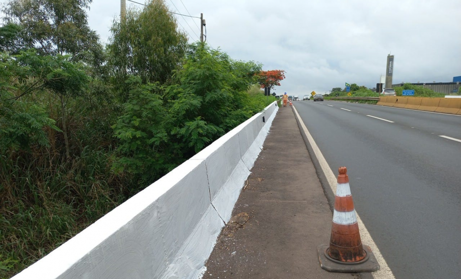 Limpeza e pintura de ponte