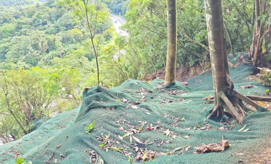 BR-277 serviços de contenção no km 39