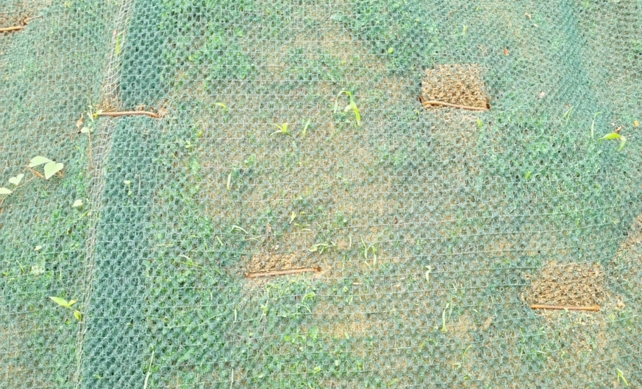 BR-277 serviços de contenção no km 39