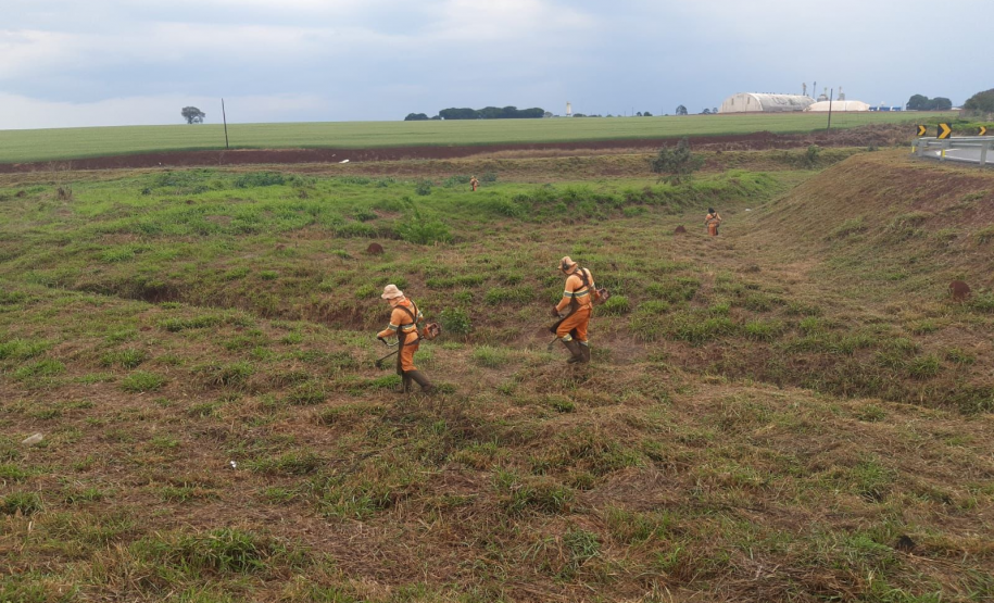 Roçada da faixa de domínio da PRC-158