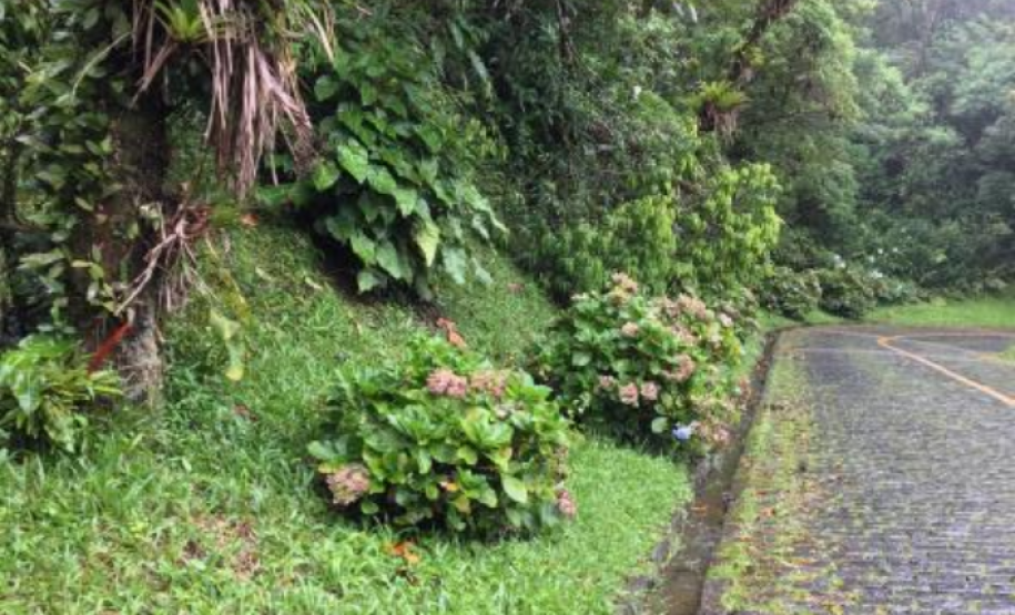 Drenagem da Estrada da Graciosa 16.02.23
