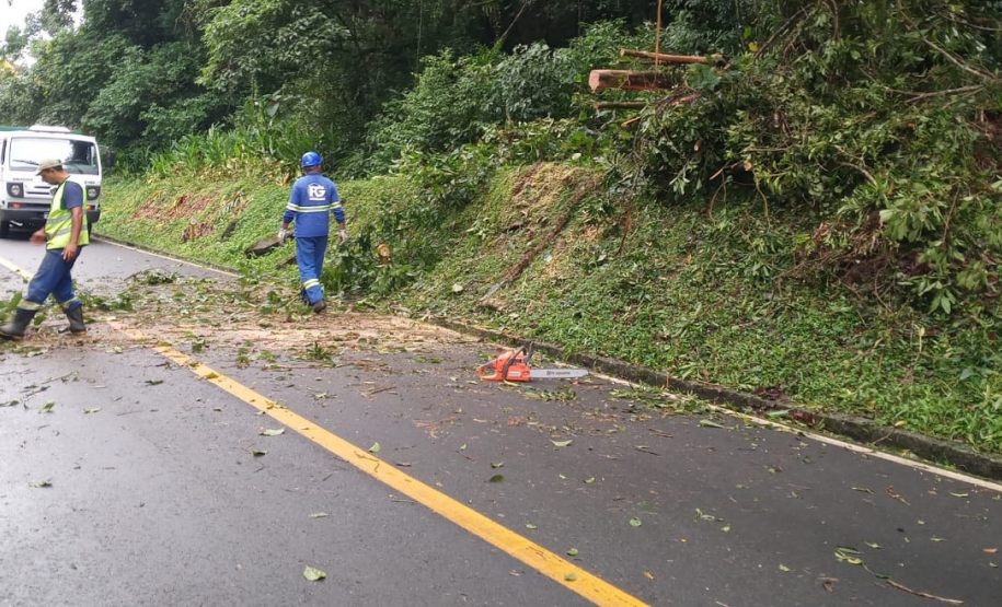 Estrada da Graciosa - serviços de limpeza