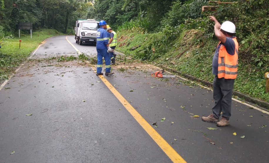 Estrada da Graciosa - serviços de limpeza