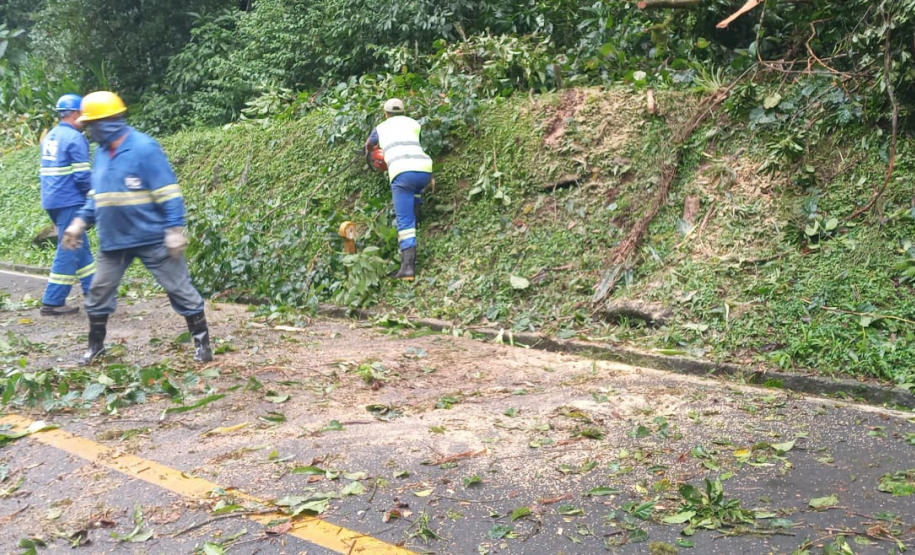 Estrada da Graciosa - serviços de limpeza