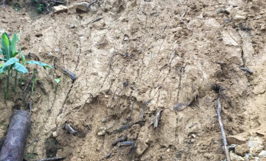 Escorregamentos na Estrada da Graciosa