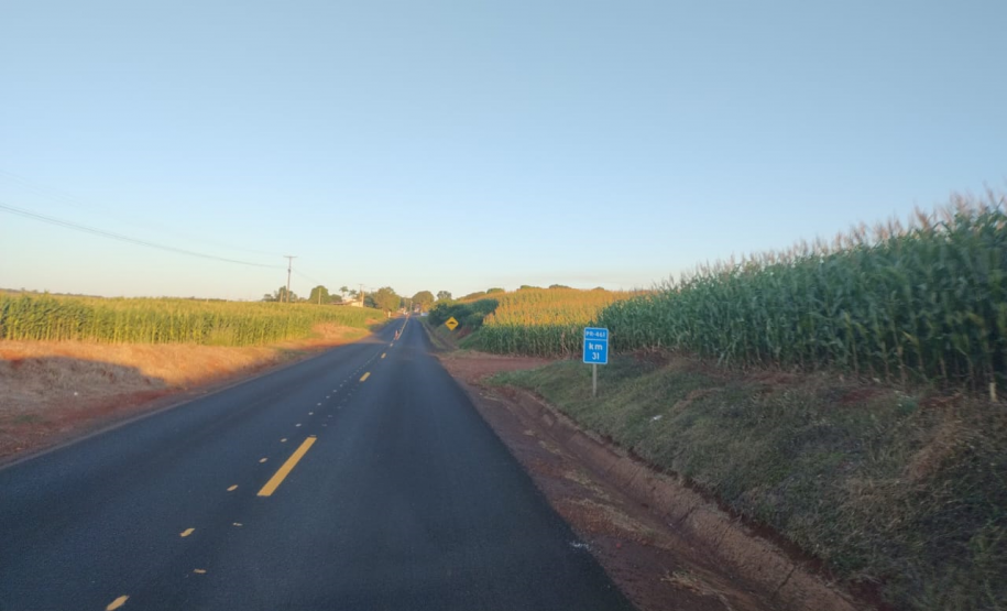 Conservação da PR-461 - sinalização provisória