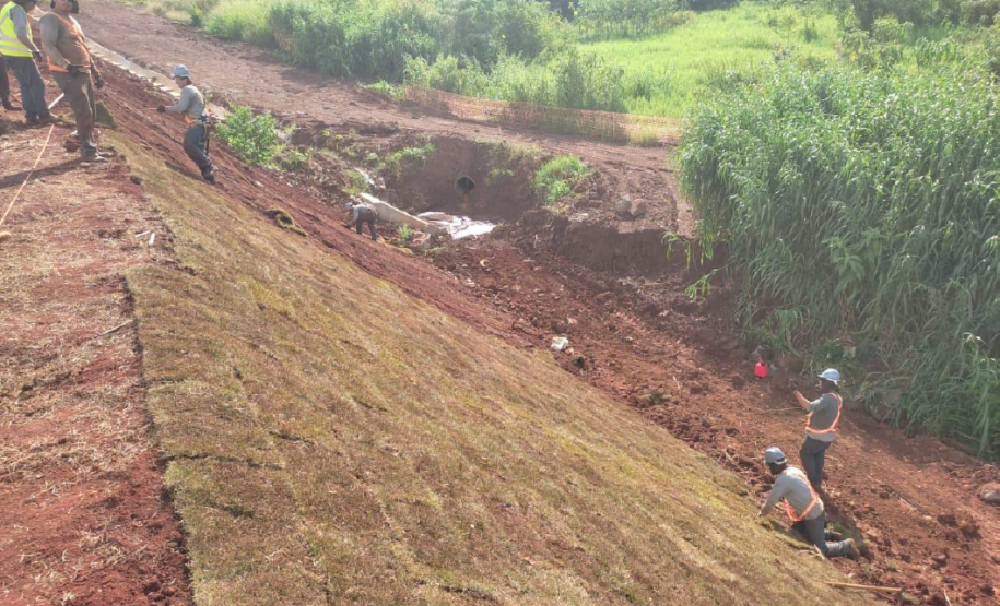 Contorno de Jandaia do Sul - enleivamento