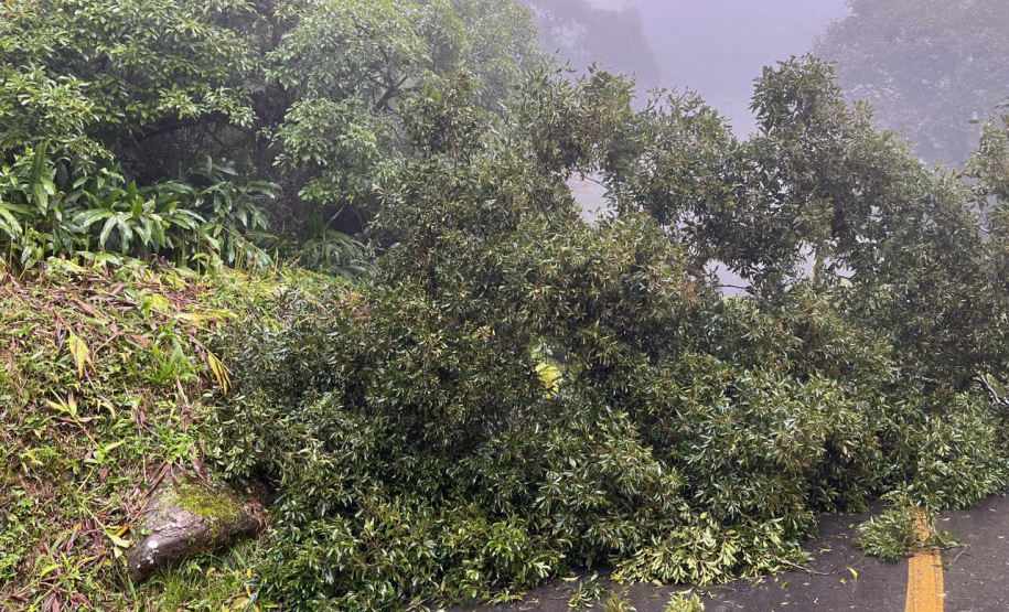 Estrada da Graciosa é bloqueada após escorregamento de materiais no km 11
