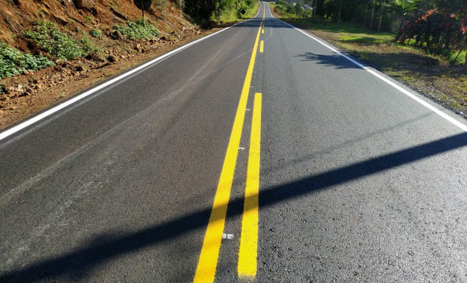Serviços de conservação do pavimento e faixa de domínio de rodovias estaduais