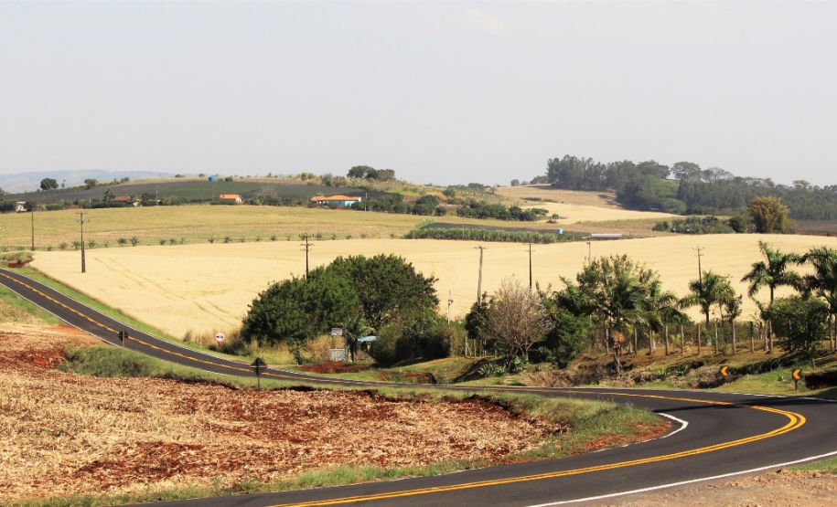 Serviços de conservação do pavimento e faixa de domínio de rodovias estaduais