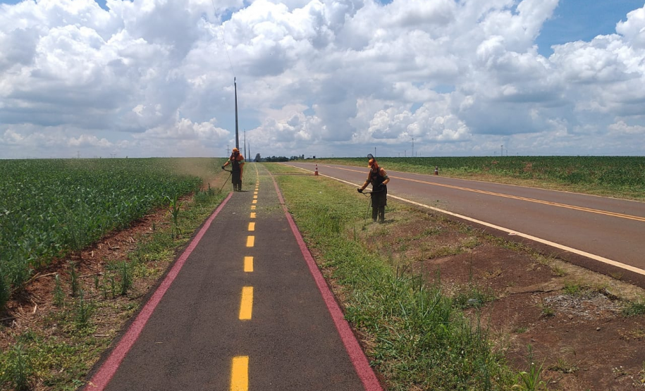 Serviços de conservação do pavimento e faixa de domínio de rodovias estaduais