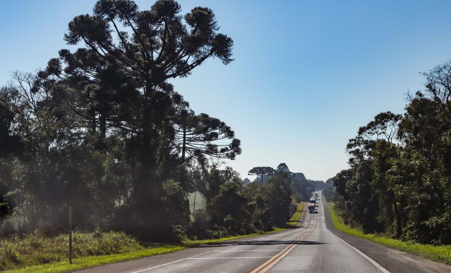BR-373, entre Ponta Grossa e Prudentópolis