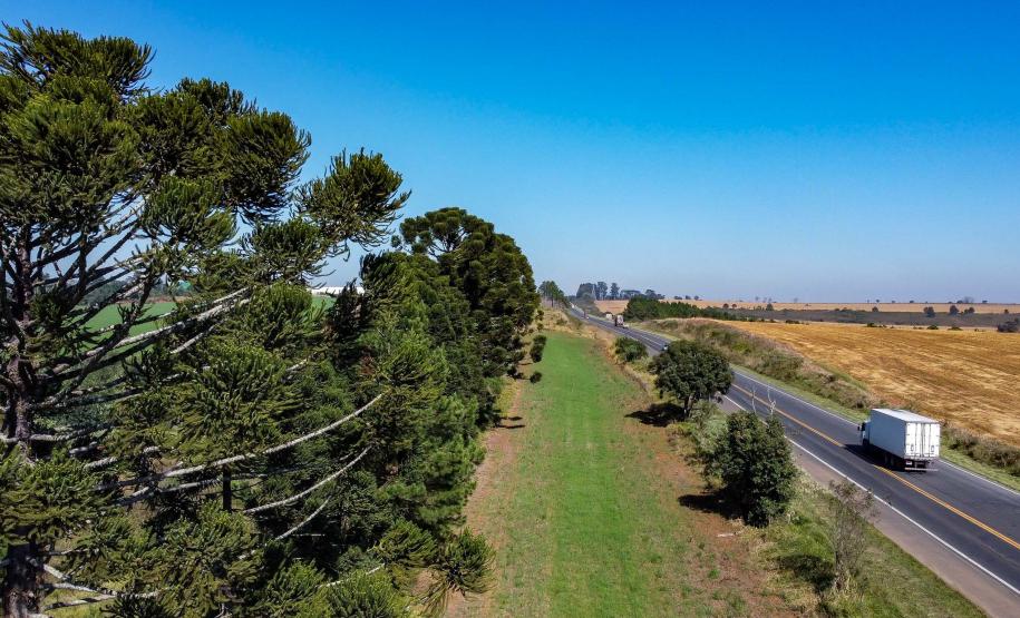 BR-373, entre Ponta Grossa e Prudentópolis