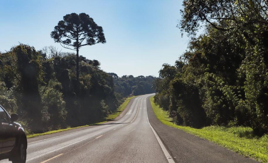 BR-373, entre Ponta Grossa e Prudentópolis