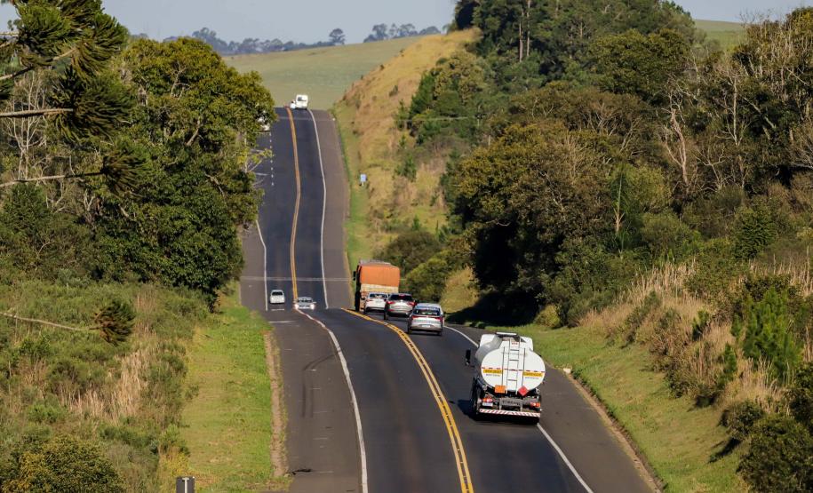 BR-277 trecho em Palmeira