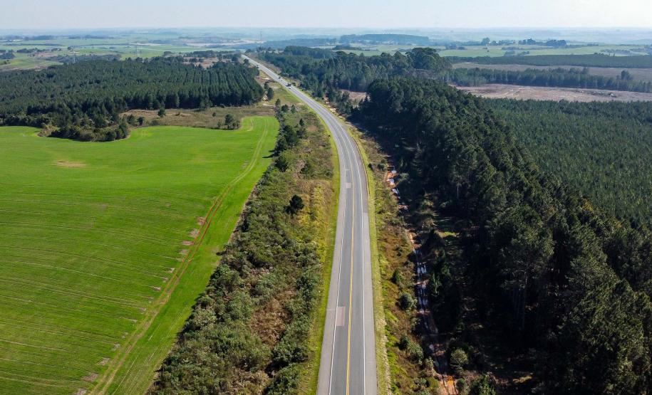 BR-277 trecho em Palmeira