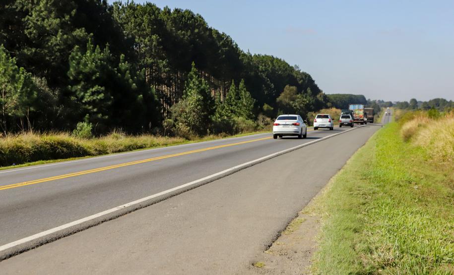 BR-277 trecho em Palmeira