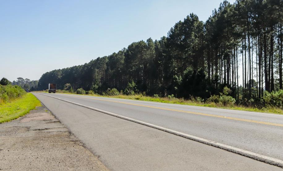 BR-277 trecho em Palmeira