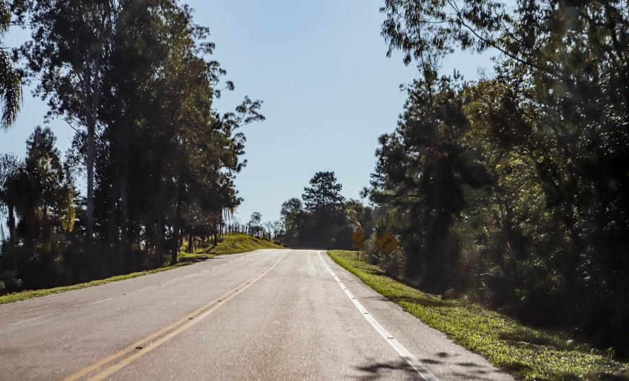 PR-427 entre a Lapa e Porto Amazonas