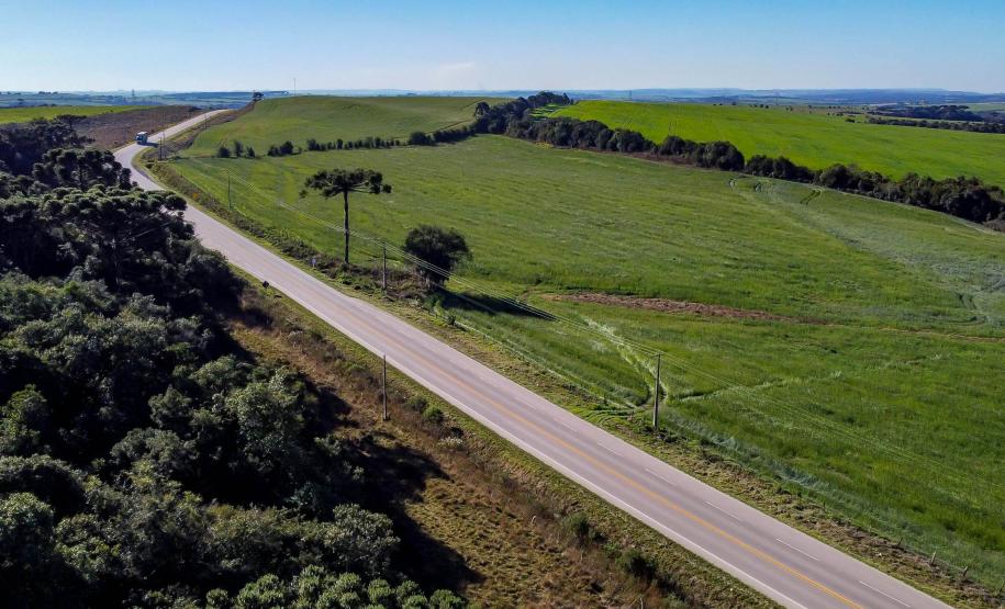 PR-427 entre a Lapa e Porto Amazonas