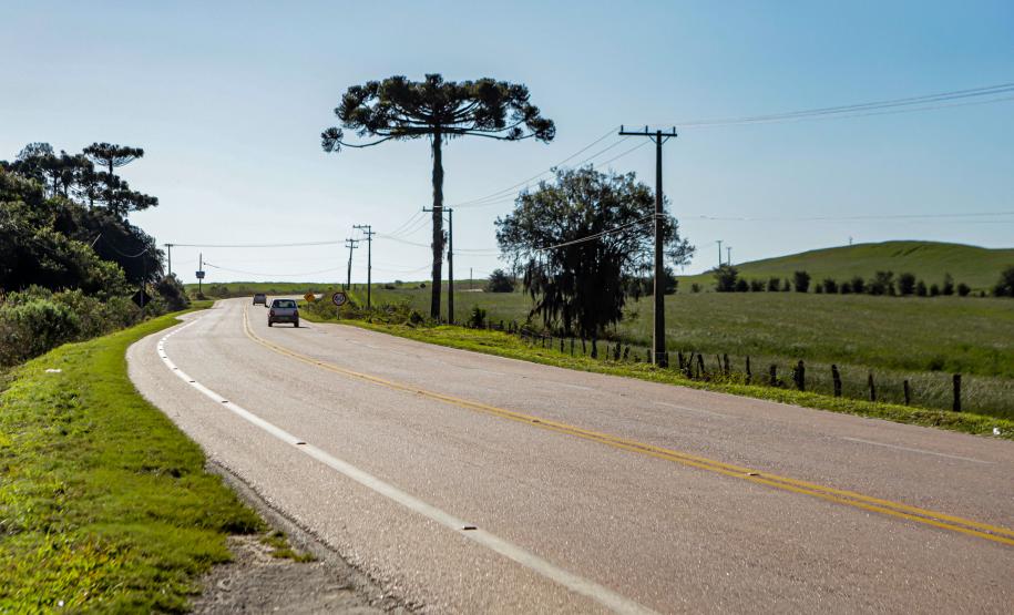 PR-427 entre a Lapa e Porto Amazonas