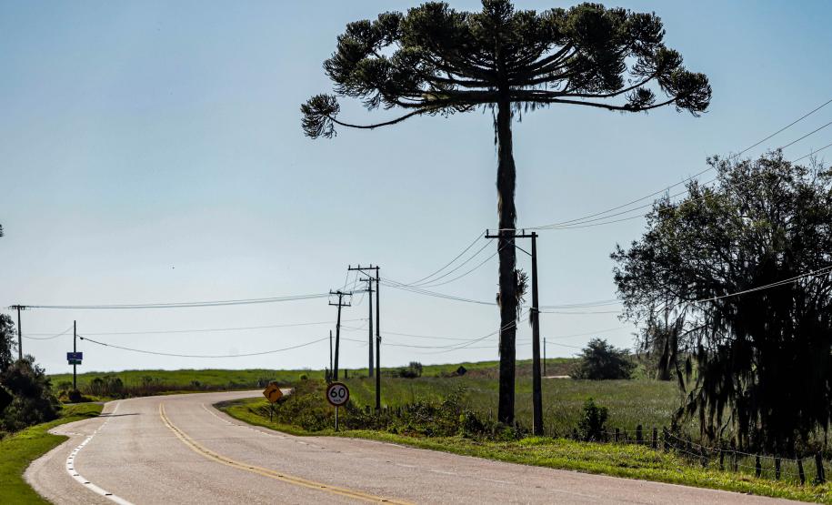 PR-427 entre a Lapa e Porto Amazonas