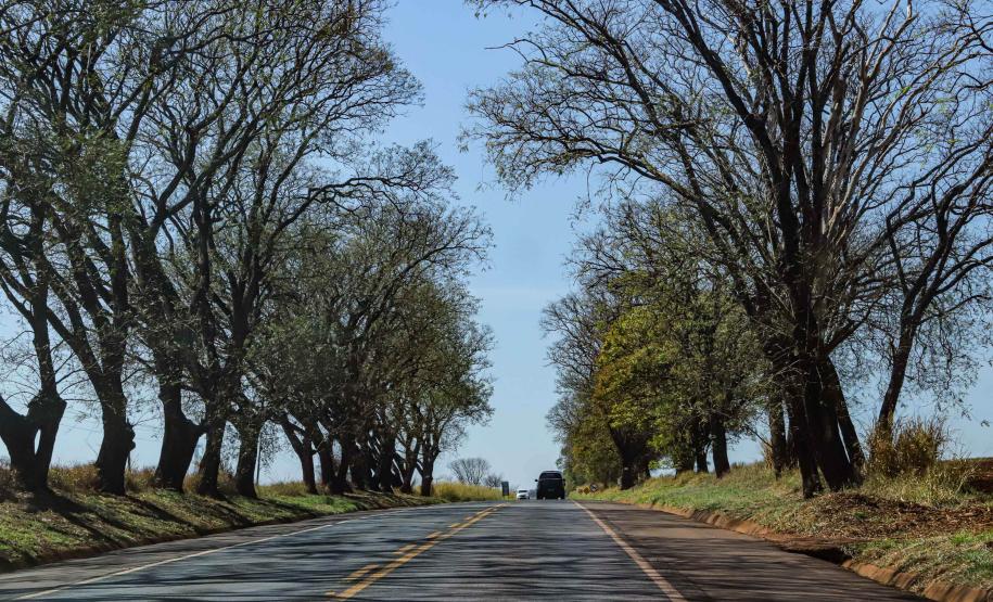 BR-369/PR-855 em Bandeirantes