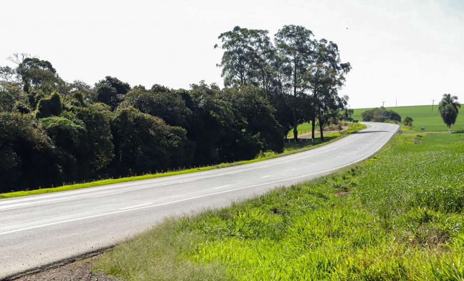 PR-092 em Calógeras, distrito de Arapoti