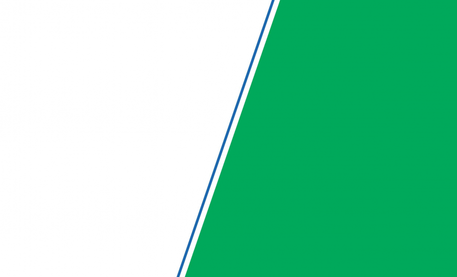 Manual de Execução de Serviços Rodoviários