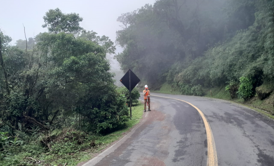 Monitoramento geotécnico da Estrada da Graciosa