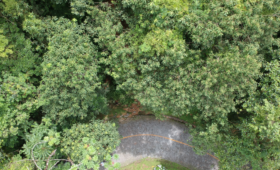 Estrada da Graciosa (PR-410), imagens de drone