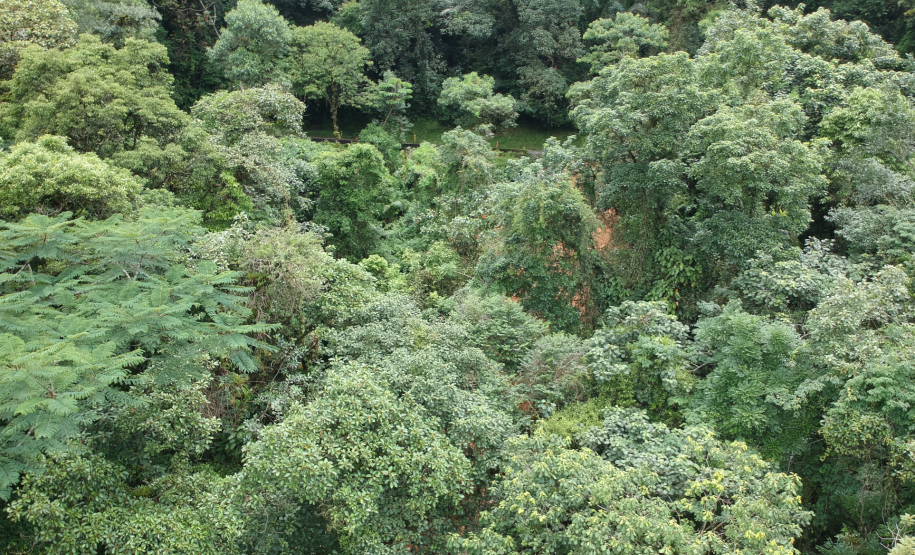 Estrada da Graciosa (PR-410), imagens de drone