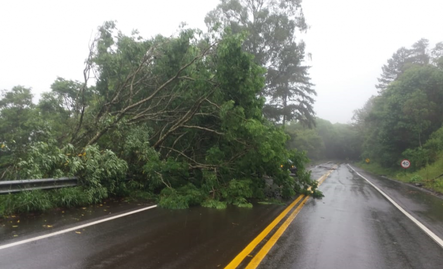 PR-170 em Pinhão, entre Faxinal do Céu e a usinda hidrelétrica