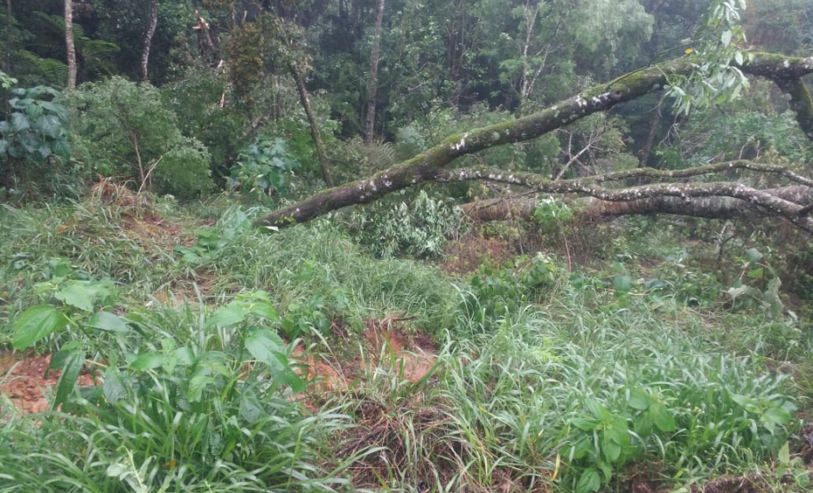 PR-170 em Pinhão, entre Faxinal do Céu e a usinda hidrelétrica