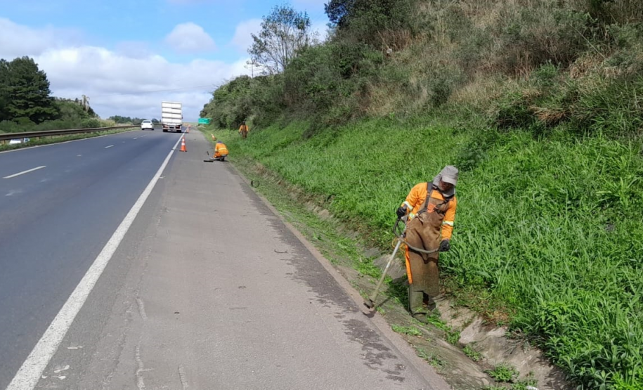 Serviços de conservação do pavimento e da faixa de domínio da PR-151 entre Ponta Grossa e Sengés