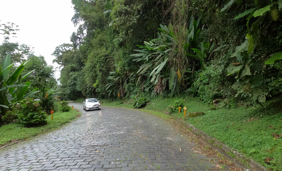 Estrada da Graciosa - vista de câmera de veículo