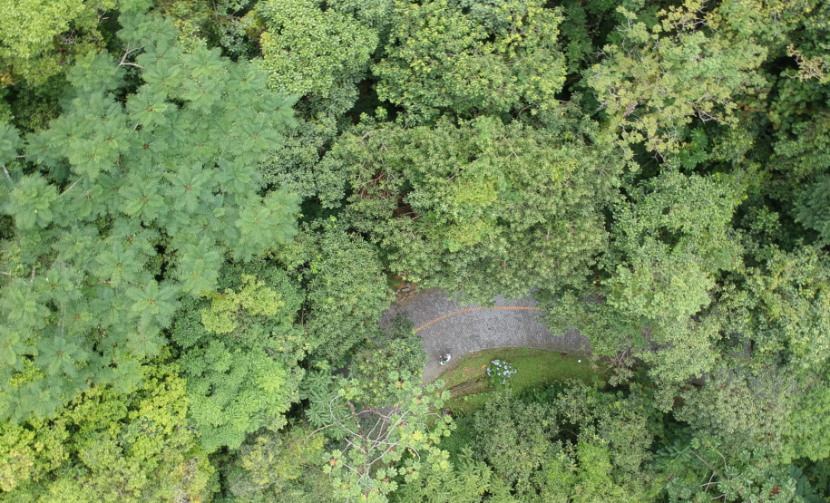 Estrada da Graciosa - vista de drone