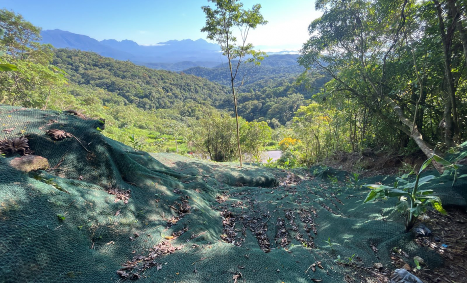 BR-277 contenção de talude km 39