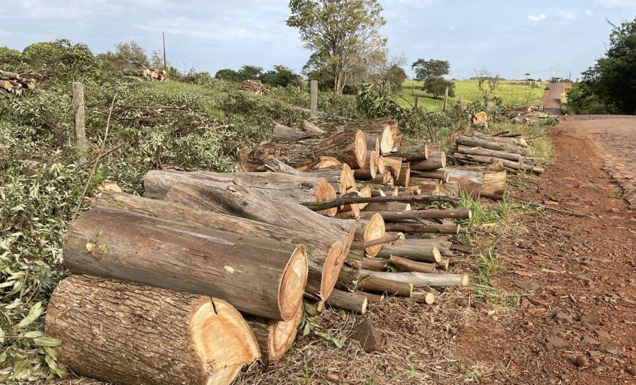 Início dos serviços de pavimentação entre Ramilândia e São Roque, distrito de Santa Helena