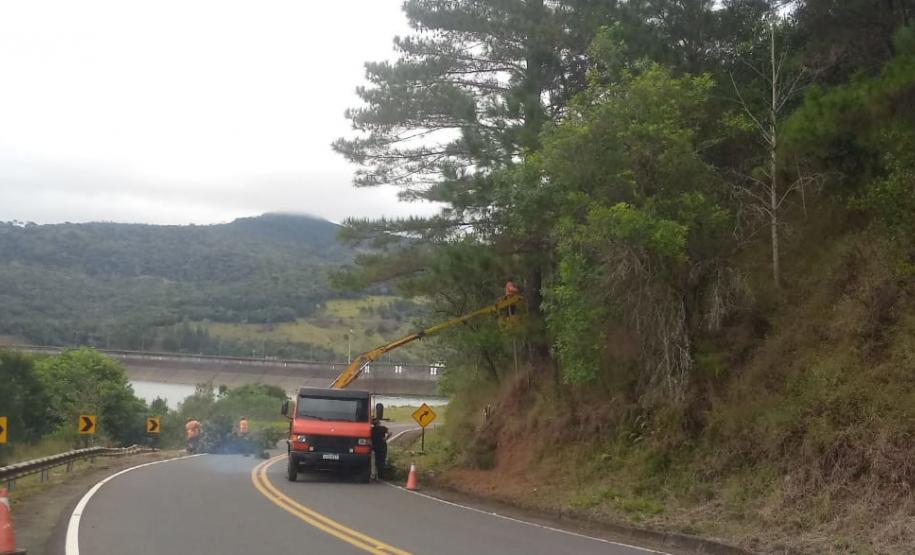 PR-170 Pinhão poda de árvores