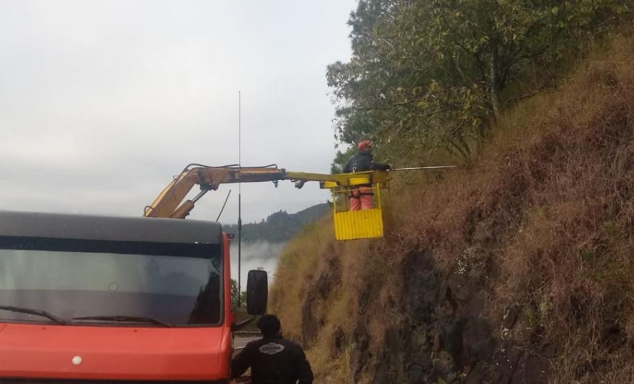 PR-170 Pinhão poda de árvores