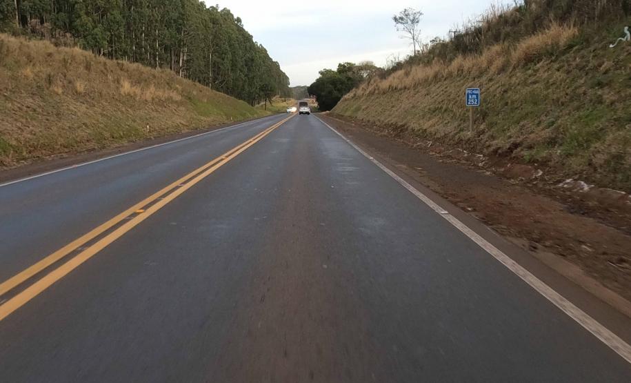 PRC-466 entre Guarapuava e Palmeirinha