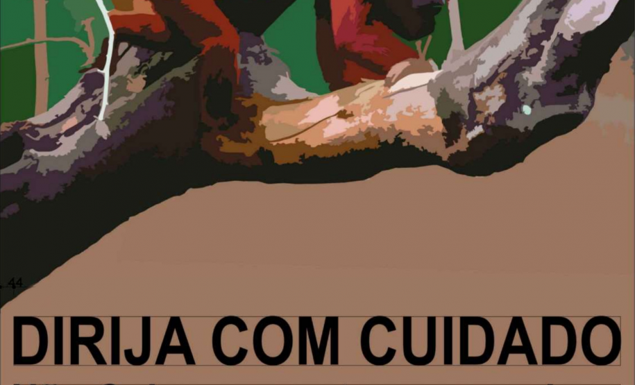 Novas placas rodoviárias do Parque Nacional Ilha Grande