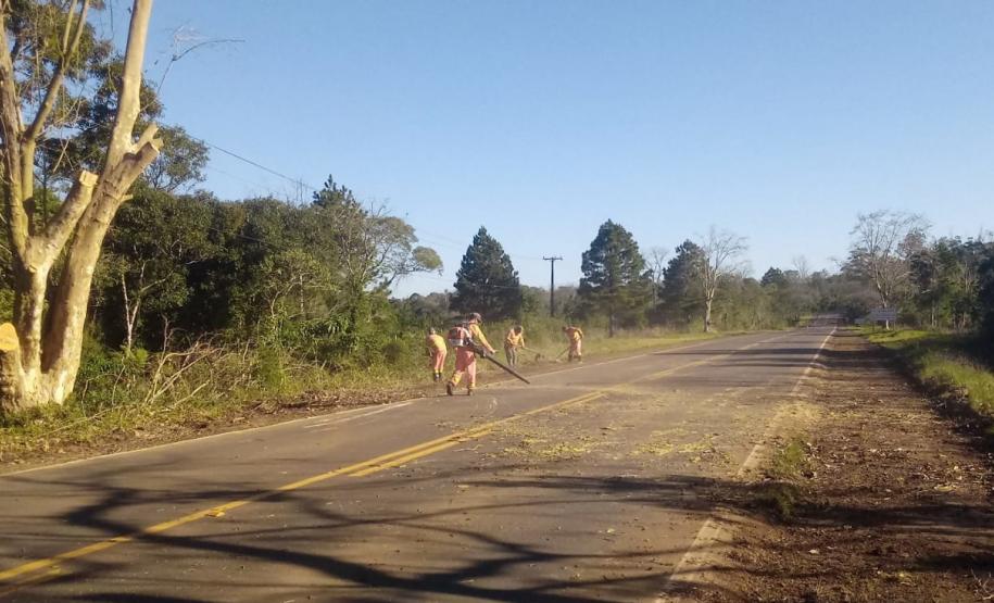 Serviços de conservação de faixa de domínio