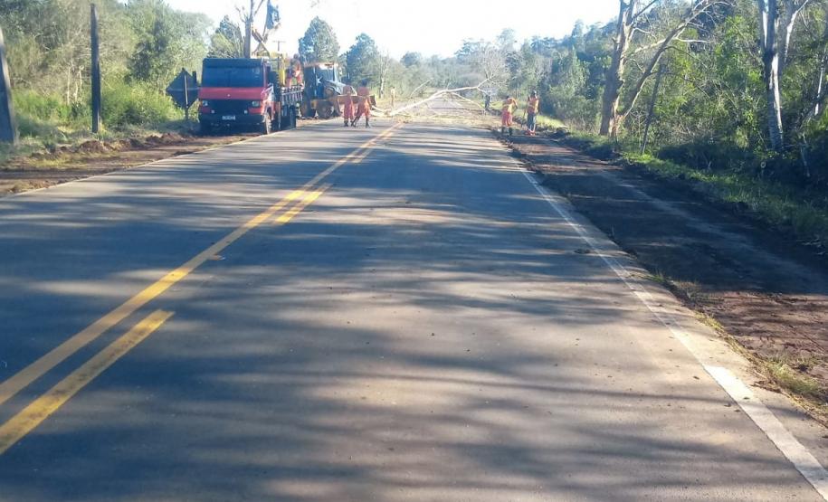 Serviços de conservação de faixa de domínio