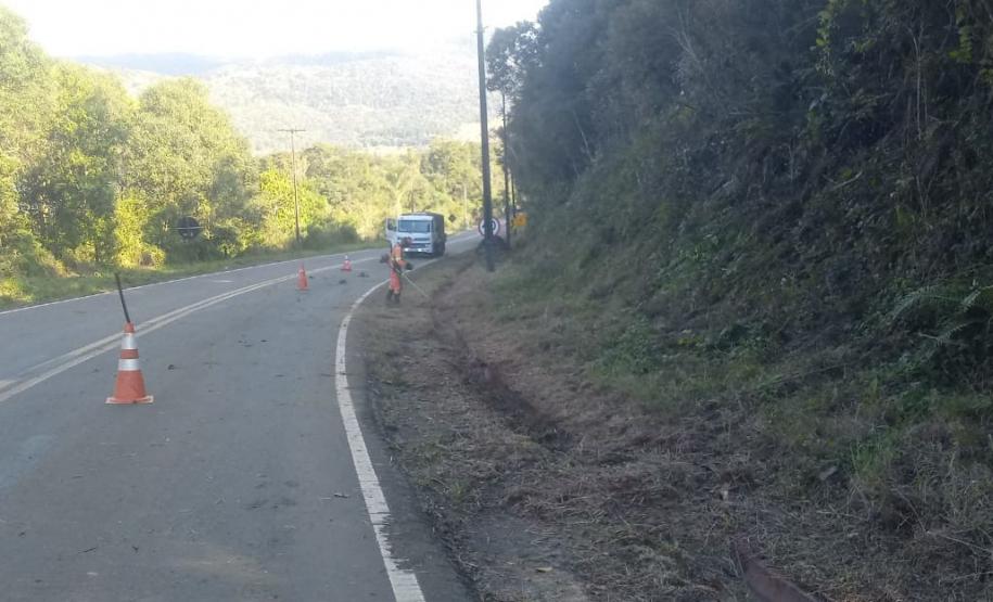 Serviços de conservação de faixa de domínio